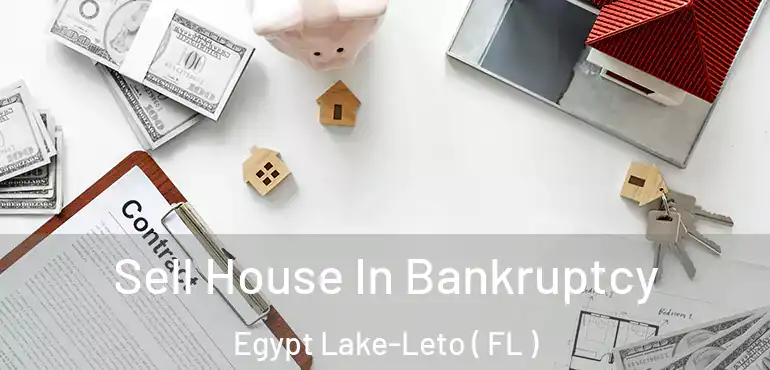  Sell House In Bankruptcy Egypt Lake-Leto ( FL )