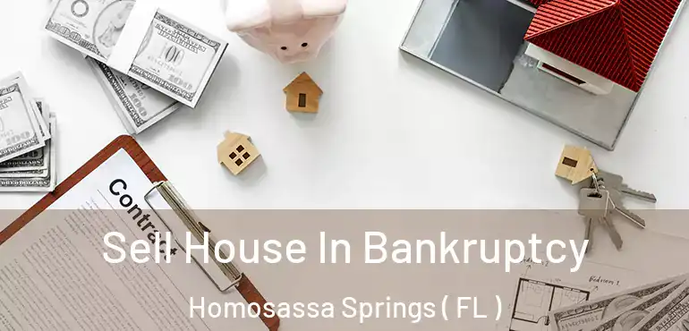  Sell House In Bankruptcy Homosassa Springs ( FL )