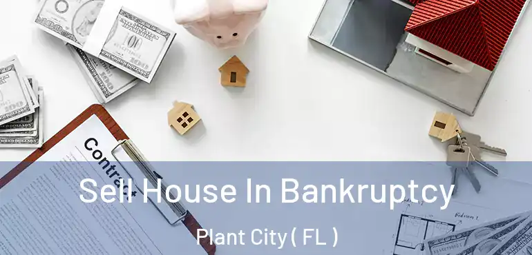  Sell House In Bankruptcy Plant City ( FL )