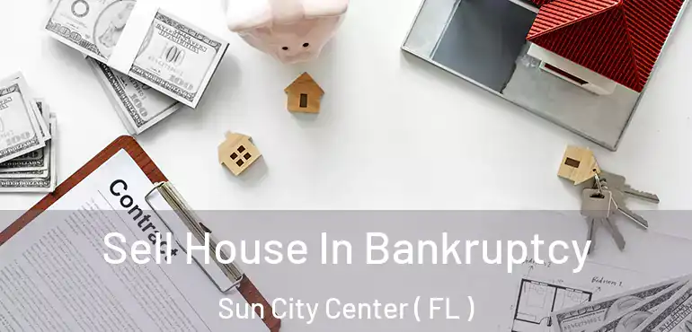  Sell House In Bankruptcy Sun City Center ( FL )