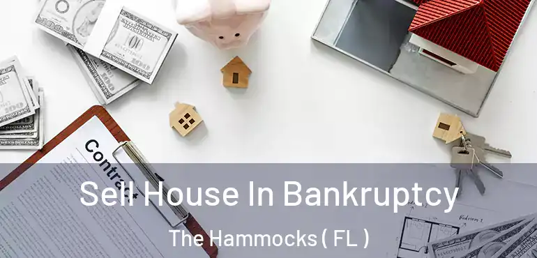  Sell House In Bankruptcy The Hammocks ( FL )
