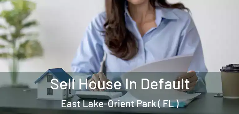  Sell House In Default East Lake-Orient Park ( FL )
