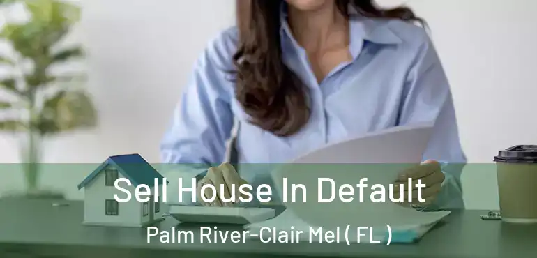  Sell House In Default Palm River-Clair Mel ( FL )