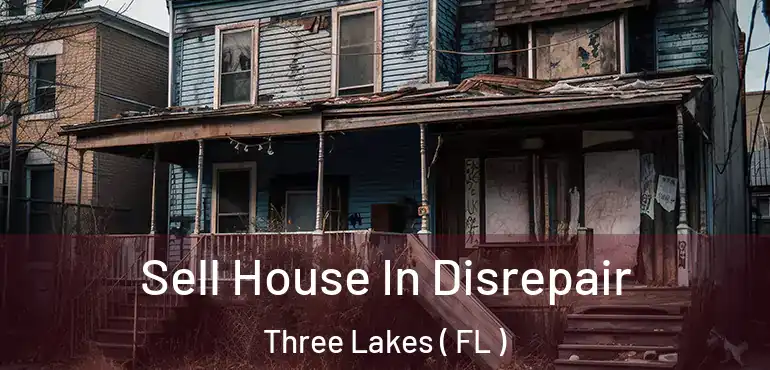  Sell House In Disrepair Three Lakes ( FL )