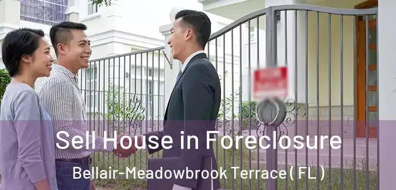  Sell House in Foreclosure Bellair-Meadowbrook Terrace ( FL )