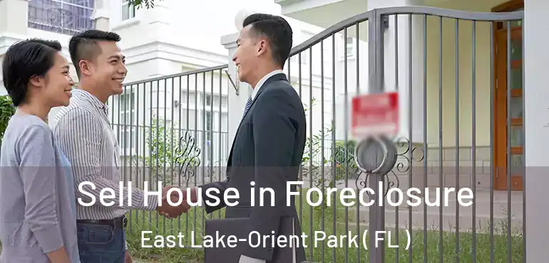  Sell House in Foreclosure East Lake-Orient Park ( FL )