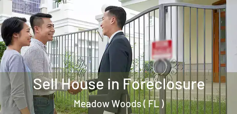  Sell House in Foreclosure Meadow Woods ( FL )