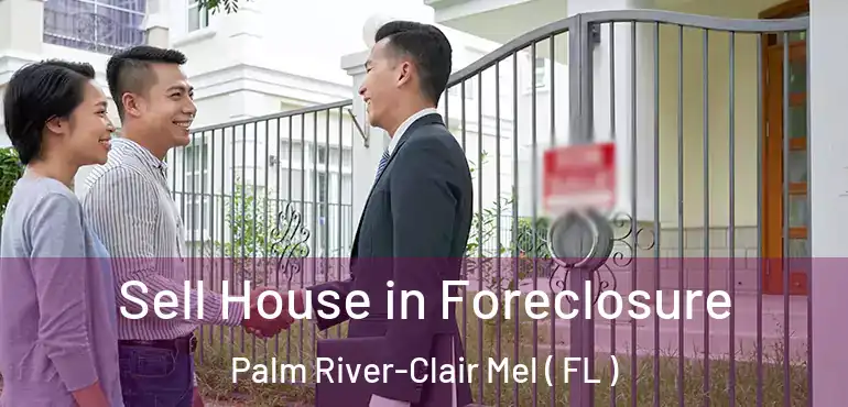  Sell House in Foreclosure Palm River-Clair Mel ( FL )