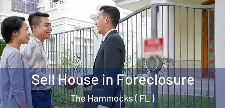  Sell House in Foreclosure The Hammocks ( FL )