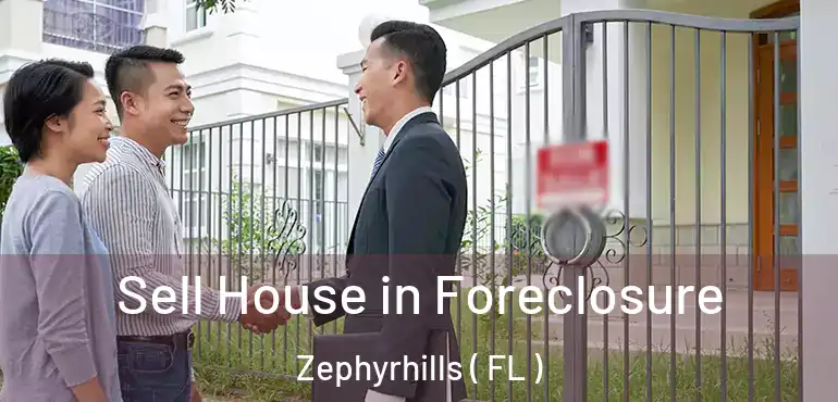  Sell House in Foreclosure Zephyrhills ( FL )