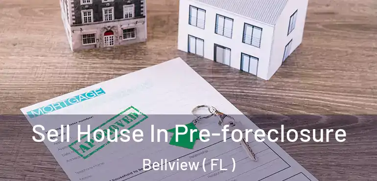  Sell House In Pre-foreclosure Bellview ( FL )