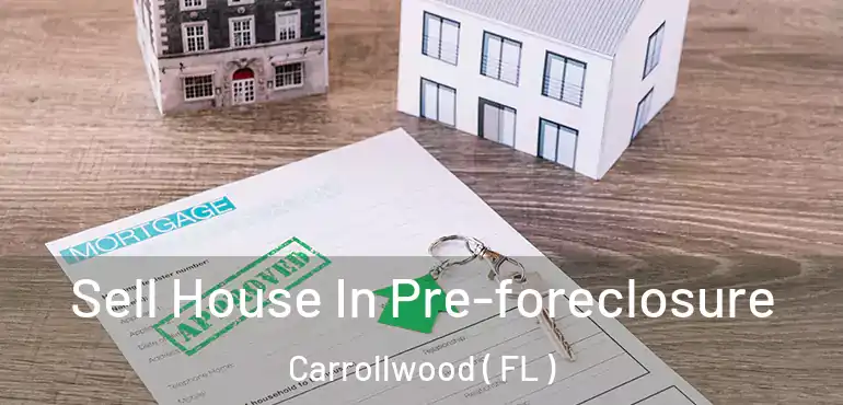  Sell House In Pre-foreclosure Carrollwood ( FL )