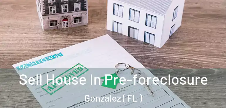  Sell House In Pre-foreclosure Gonzalez ( FL )