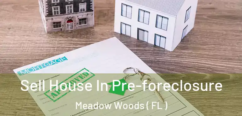  Sell House In Pre-foreclosure Meadow Woods ( FL )