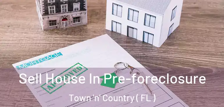  Sell House In Pre-foreclosure Town 'n' Country ( FL )