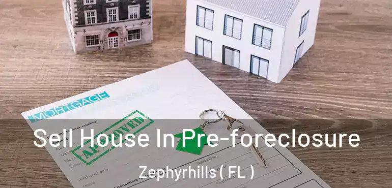 Sell House In Pre-foreclosure Zephyrhills ( FL )
