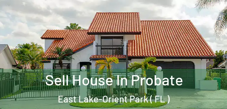  Sell House In Probate East Lake-Orient Park ( FL )