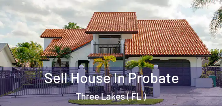  Sell House In Probate Three Lakes ( FL )