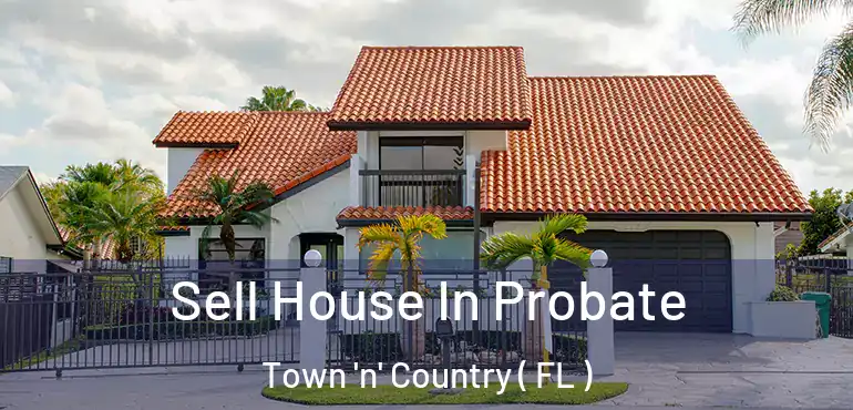  Sell House In Probate Town 'n' Country ( FL )