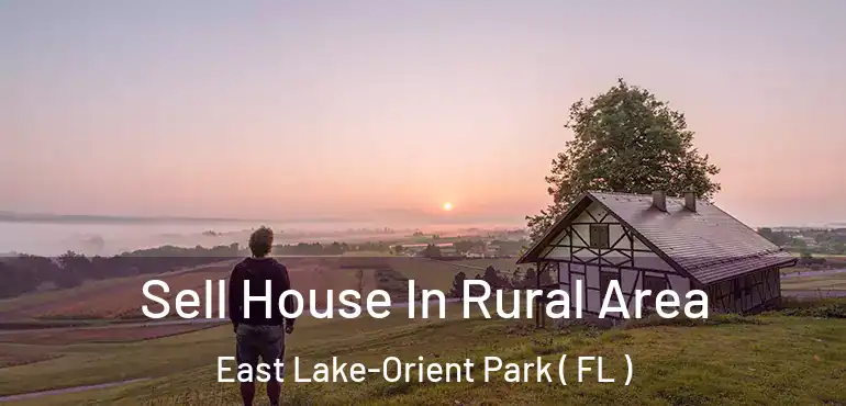  Sell House In Rural Area East Lake-Orient Park ( FL )