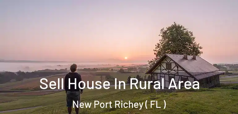  Sell House In Rural Area New Port Richey ( FL )