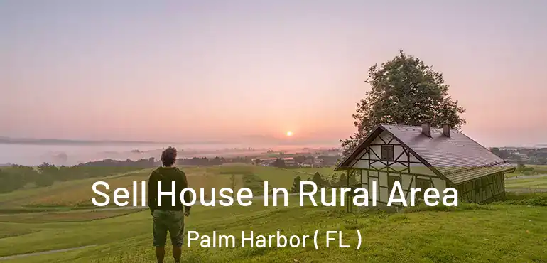  Sell House In Rural Area Palm Harbor ( FL )