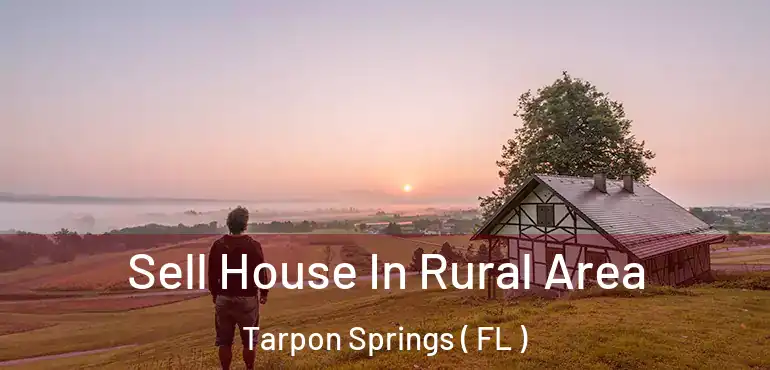  Sell House In Rural Area Tarpon Springs ( FL )