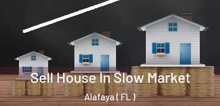  Sell House In Slow Market Alafaya ( FL )