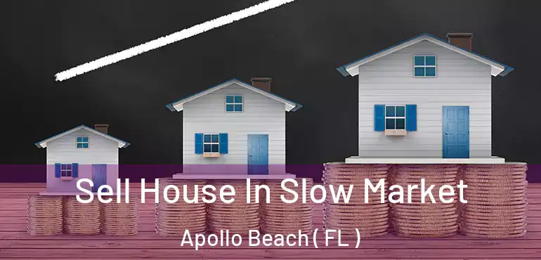  Sell House In Slow Market Apollo Beach ( FL )