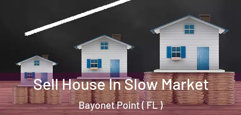  Sell House In Slow Market Bayonet Point ( FL )