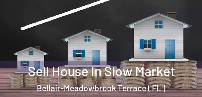  Sell House In Slow Market Bellair-Meadowbrook Terrace ( FL )