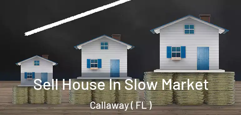  Sell House In Slow Market Callaway ( FL )