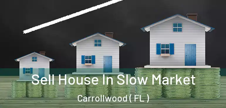  Sell House In Slow Market Carrollwood ( FL )