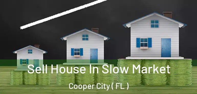  Sell House In Slow Market Cooper City ( FL )