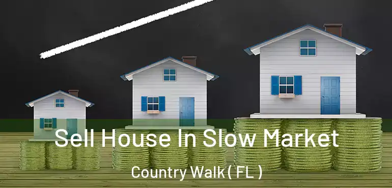  Sell House In Slow Market Country Walk ( FL )