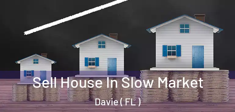  Sell House In Slow Market Davie ( FL )