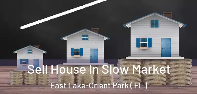  Sell House In Slow Market East Lake-Orient Park ( FL )
