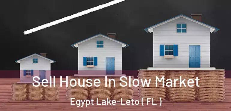  Sell House In Slow Market Egypt Lake-Leto ( FL )