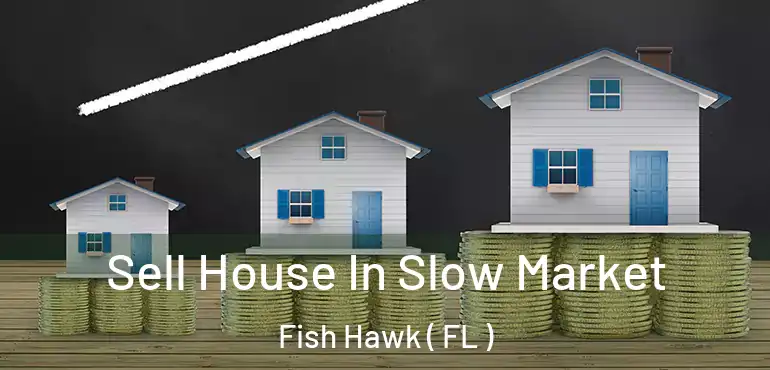  Sell House In Slow Market Fish Hawk ( FL )