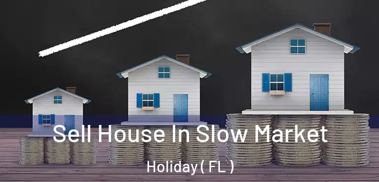  Sell House In Slow Market Holiday ( FL )