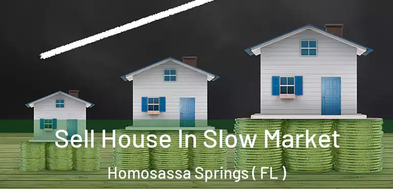  Sell House In Slow Market Homosassa Springs ( FL )
