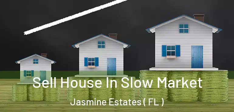  Sell House In Slow Market Jasmine Estates ( FL )