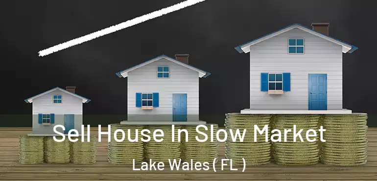  Sell House In Slow Market Lake Wales ( FL )