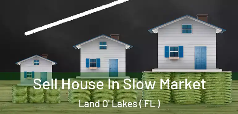  Sell House In Slow Market Land O' Lakes ( FL )