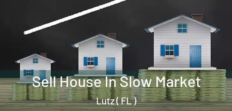  Sell House In Slow Market Lutz ( FL )