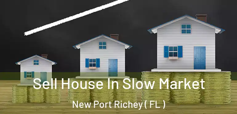  Sell House In Slow Market New Port Richey ( FL )