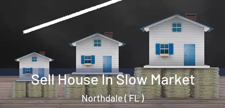  Sell House In Slow Market Northdale ( FL )