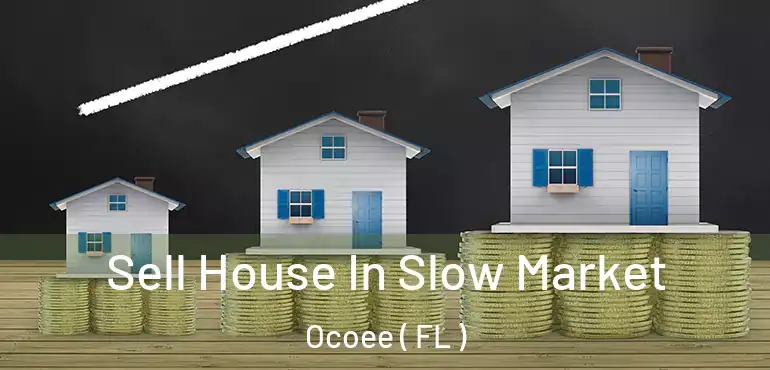  Sell House In Slow Market Ocoee ( FL )