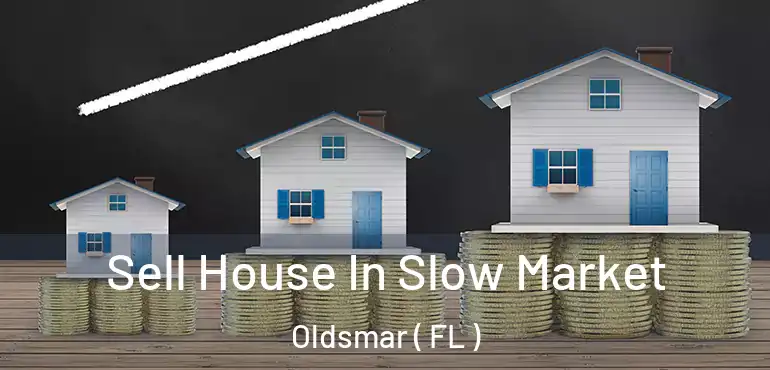  Sell House In Slow Market Oldsmar ( FL )