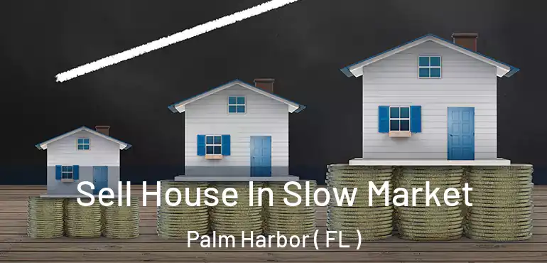  Sell House In Slow Market Palm Harbor ( FL )